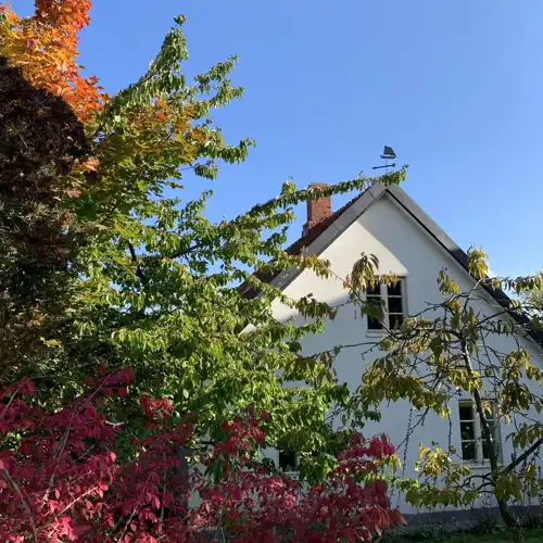 vitt hus bakom träd med höstfärger