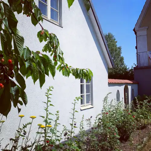 del av en vit husgavel med körsbärsträd och blomrabatt framför